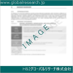 グローバルリサーチ調査資料のイメージ